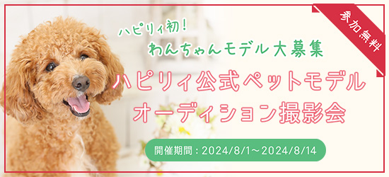 ハピリィ公式ペットモデルオーディション撮影会