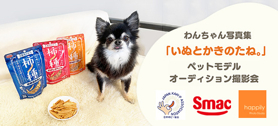 写真集『いぬとかきのたね。』ペットモデルオーディション撮影会