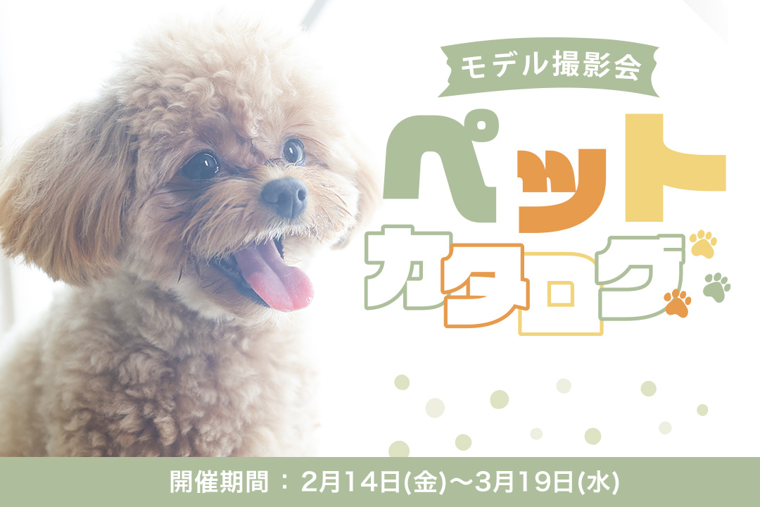 【終了】初開催！ペットカタログモデル撮影会