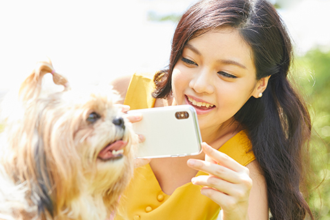 スマホでの上手な犬の写真の撮り方