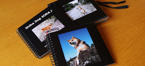 ペットの写真アルバムの作成方法や関連サービスを紹介