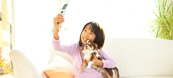 犬と一緒に写真を撮る際のコツは？ポイントやおすすめの撮り方も