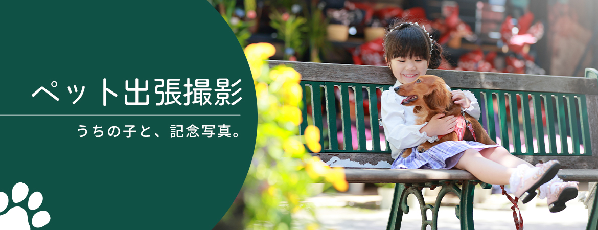 ペット 出張撮影