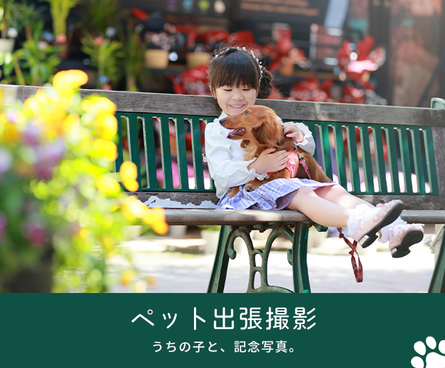 ペット 出張撮影